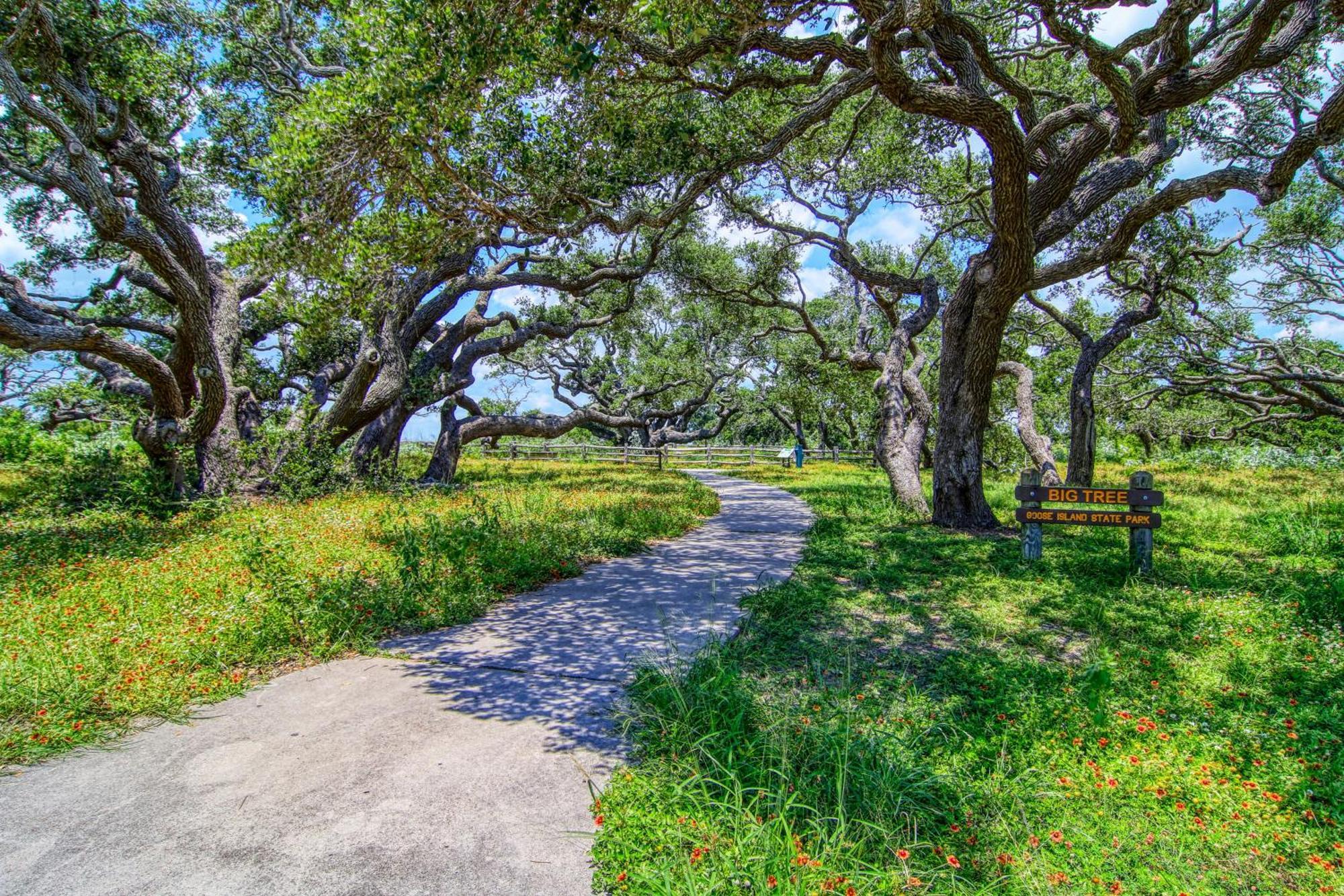 Villa Myrtle Rockport Esterno foto